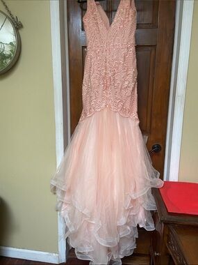 Ed Young Prom Dress  Size M